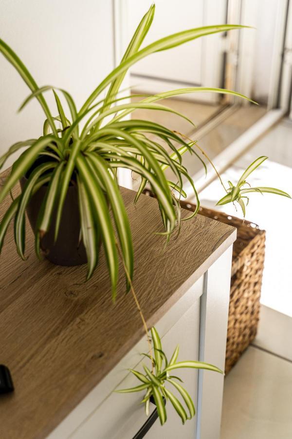 Villa Sainterne Le Bois de Nefles  ภายนอก รูปภาพ